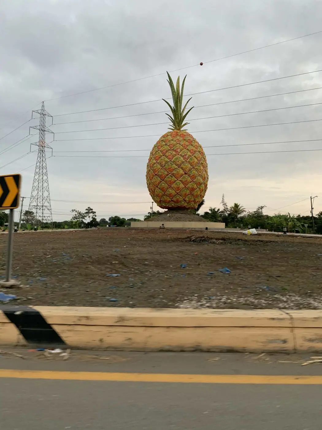 A giant pineapple sculpture standing beside a roadside in Ecuador